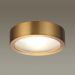 Потолочный светодиодный светильник Odeon Light 4342/7CL