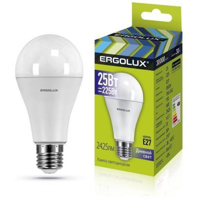 Светодиодная лампа Ergolux LED-A65-25W-E27-6K