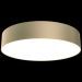 Потолочный светодиодный светильник Maytoni Technical Zon C032CL-L43MG4K