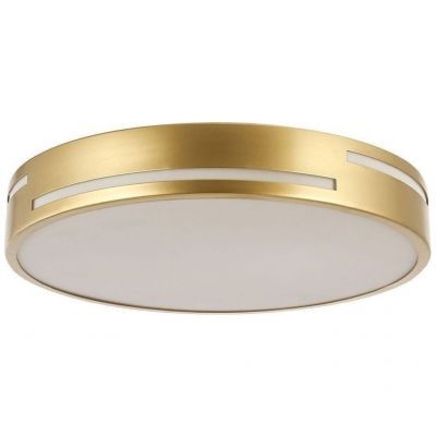 Потолочный светодиодный светильник F-Promo 2745-1C