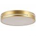 Потолочный светодиодный светильник F-Promo 2745-1C
