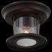 Светильник уличный потолочный ST Luce SL080.402.01