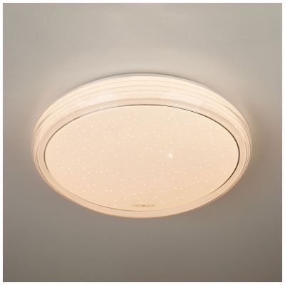 Светодиодный потолочный светильник Eurosvet 40007/1 LED белый