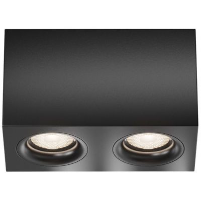 Потолочный светильник Maytoni Technical C013CL-02B