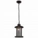 Светильник уличный подвесной ST Luce SL080.403.01