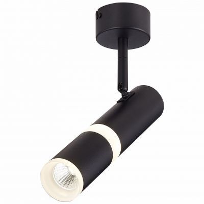 Светильник потолочный ST Luce ST106.442.08