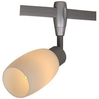 Светильник потолочный Arte Lamp A3059PL-1SI