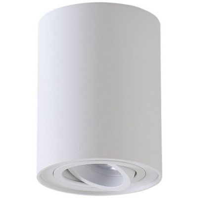 Потолочный светильник Crystal Lux CLT 410C1 WH