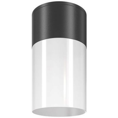 Уличный светильник Maytoni Willis O418CL-01B